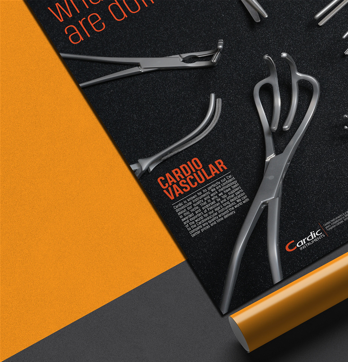 Cardic Instruments Catalog and Poster Series 2019