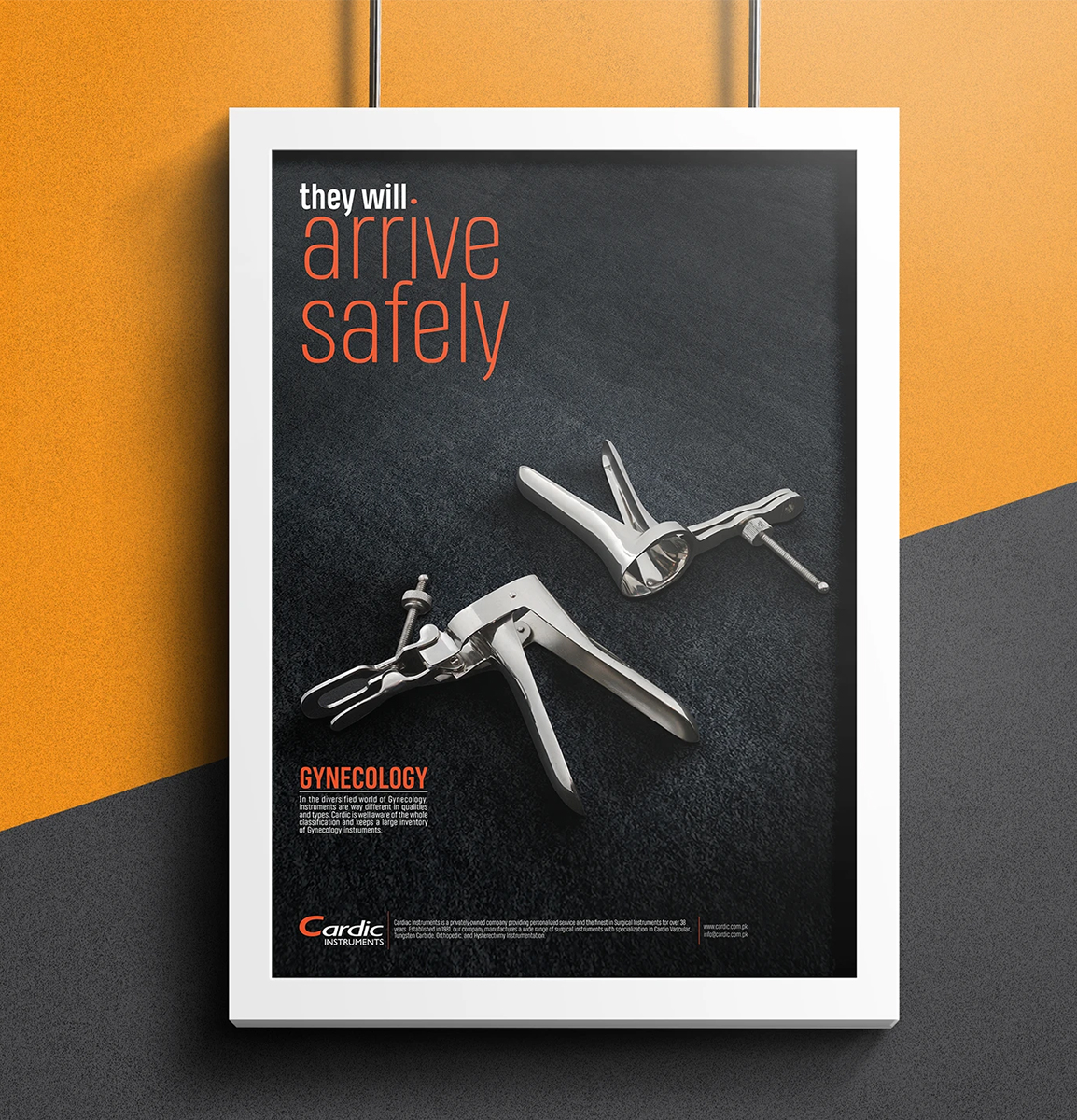 Cardic Instruments Catalog and Poster Series 2019